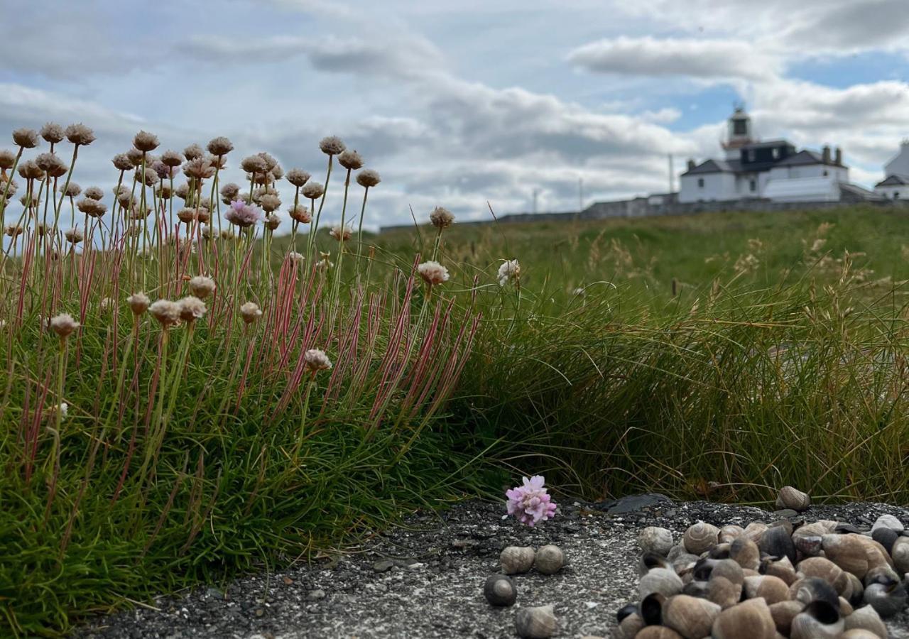Loop Head Lighthouse Attendant'S Cottage Kilbaha Eksteriør bilde
