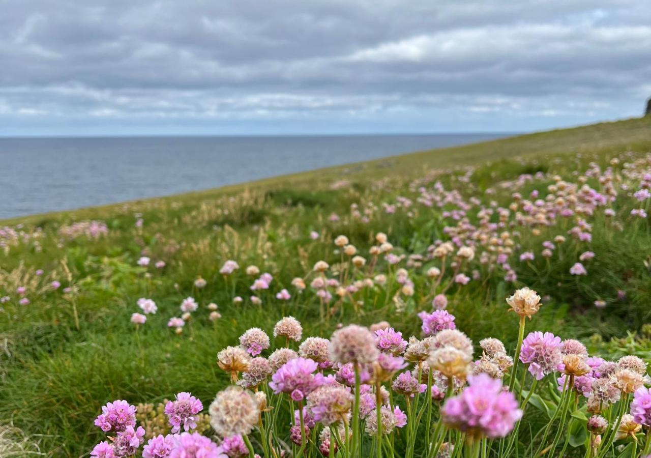 Loop Head Lighthouse Attendant'S Cottage Kilbaha Eksteriør bilde